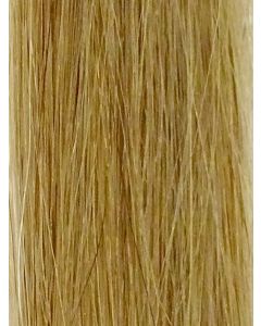 Cinderella Hair Remy Straight Application-I Stick Tip/I-Tip 16inch/40cm - Colour 18/22