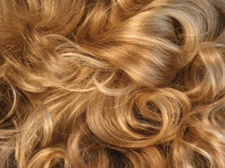 sub_image_curly_01