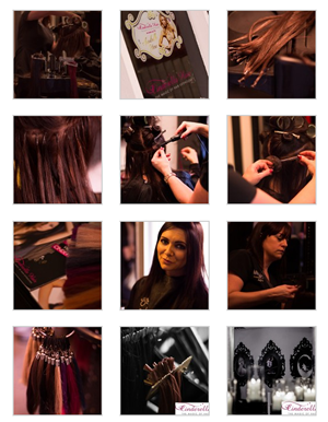 View the Gallery