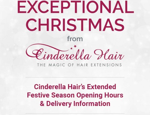 Christmas 2018 Opening & Delivery